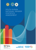 South Sudan assessment