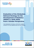 Evalution of the Zimbabwe National Development of Statistics (NSDS)II, 2016-2020, from a Gender Perspective