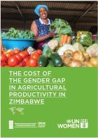 The cost of the gender gap in agricultural productivity in Zimbabwe