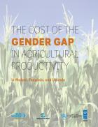 The cost of the gender gap in agricultural productivity in Malawi, Tanzania and Uganda cover
