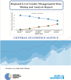 Regional disaggregated data mining and analysis report