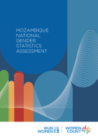 Mozambique National Gender Statistics Assessment