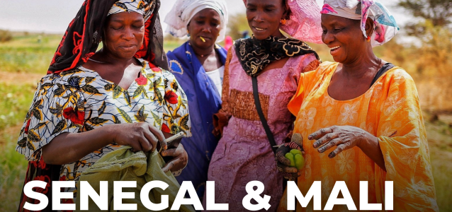 Protéger les femmes productrices du Mali et du Sénégal face aux risques climatiques grâce aux innovations digitales.